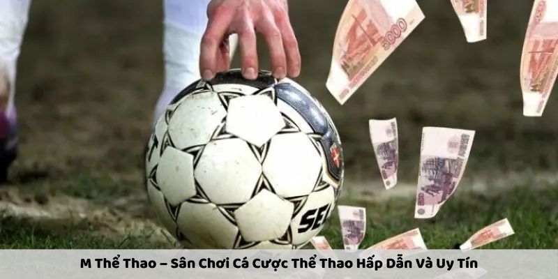 m-the-thao-san-choi-ca-cuoc-the-thao-hap-dan-va-uy-tin-212